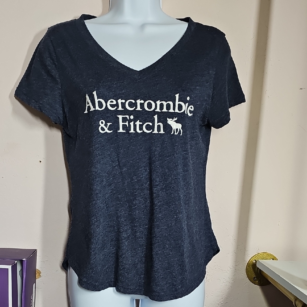 Abercrombie & Fitch Blue Fitted Short Sleeve Tee